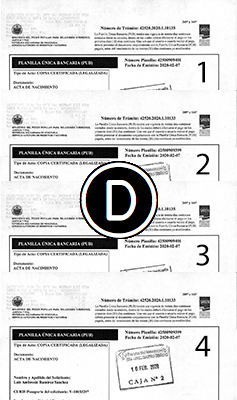 COMPROBANTE-ABANICO-PUB-PAGAS